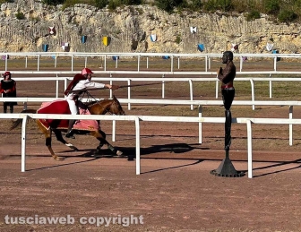Il palio dell’Anello di Tarquini