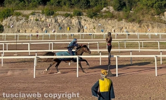 Il palio dell’Anello di Tarquini