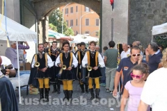 Il palio delle botti - 2013