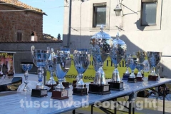 Il palio delle botti - 2013