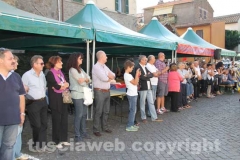 Il palio delle botti - 2013
