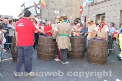 Il palio delle botti - 2013