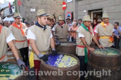 Il palio delle botti - 2013