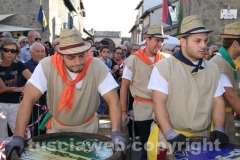 Il palio delle botti - 2013