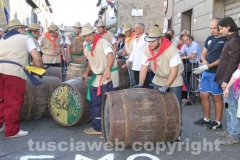 Il palio delle botti - 2013