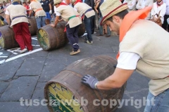 Il palio delle botti - 2013