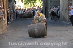 Il palio delle botti - 2013