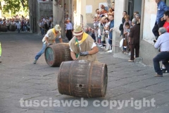 Il palio delle botti - 2013
