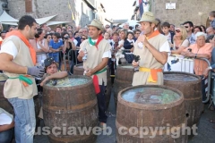 Il palio delle botti - 2013