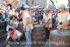 Il palio delle botti - 2013