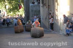 Il palio delle botti - 2013