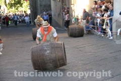 Il palio delle botti - 2013