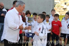 Il palio delle botti - 2013