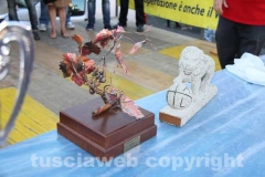 Il palio delle botti - 2013