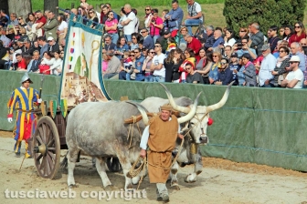 Il Palio di Sant'Anselmo