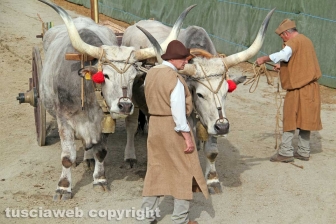 Il Palio di Sant'Anselmo