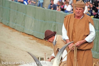 Il Palio di Sant'Anselmo