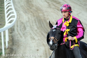 Il Palio di Sant'Anselmo