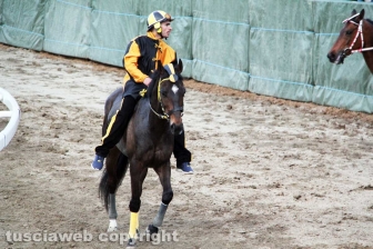 Il Palio di Sant'Anselmo