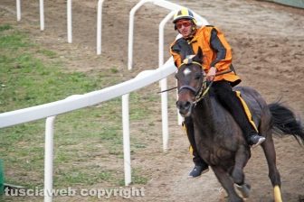 Il Palio di Sant'Anselmo