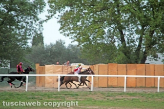 Il Palio di Sant'Anselmo