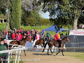 Bomarzo - Il palio di Sant'Anselmo