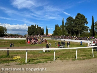 Bomarzo - Il palio di Sant'Anselmo