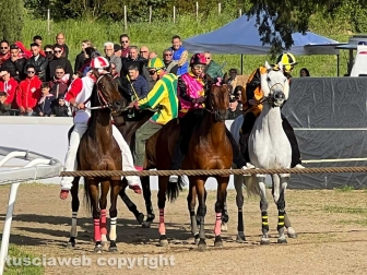 Bomarzo - Il palio di Sant'Anselmo
