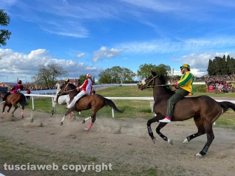 Bomarzo - Il palio di Sant'Anselmo