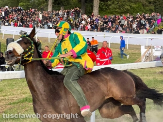 Bomarzo - Fantino cade e viene travolto da un cavallo è grave