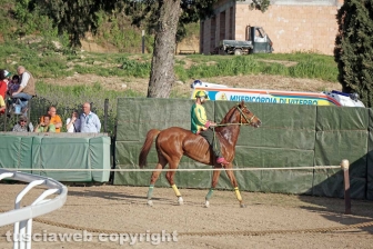 Il Palio di Sant'Anselmo