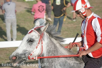 Il Palio di Sant'Anselmo