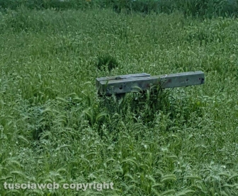Il parco del Barco
