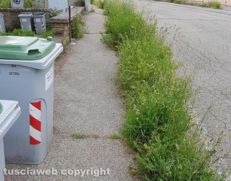 Il parco del Barco