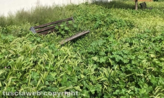 Il parco del Carmine