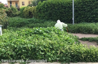 Il parco del Carmine