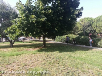 Il parco del Carmine