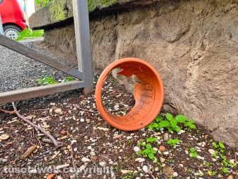 Il parco del Pilastro