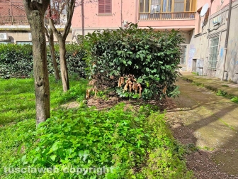 Il parco del Pilastro