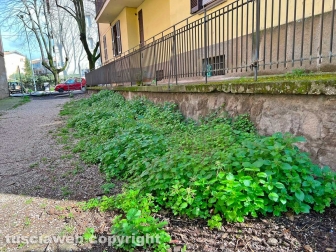 Il parco del Pilastro