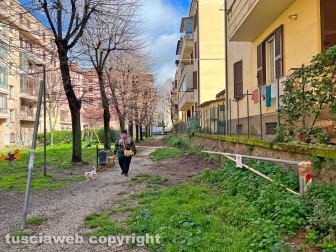Il parco del Pilastro