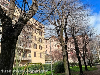 Il parco del Pilastro
