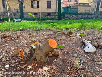 Il parco del Pilastro