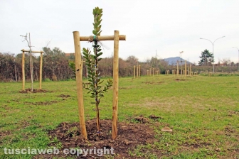 Il parco di Santa Barbara