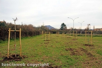 Il parco di Santa Barbara