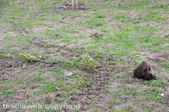 Il parco di Santa Barbara