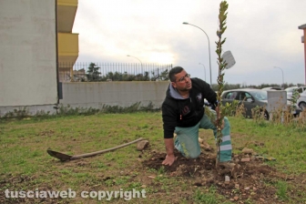 Il parco di Santa Barbara