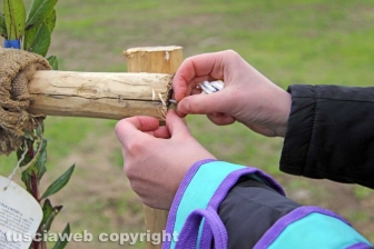 Il parco di Santa Barbara
