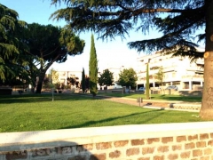 Il parco Robinson