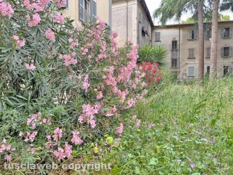Il parco tra via Vanni e via del Massaro